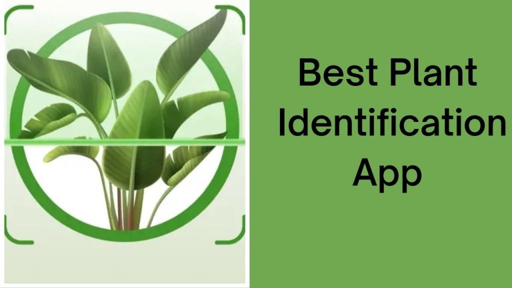 plant identification app free